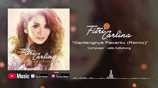 Gantengnya Pacarku (Remix) by Fitri Carlina - cover art
