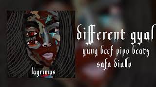 Different Gyal Music Video