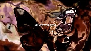 Life Was so Beautiful Music Video
