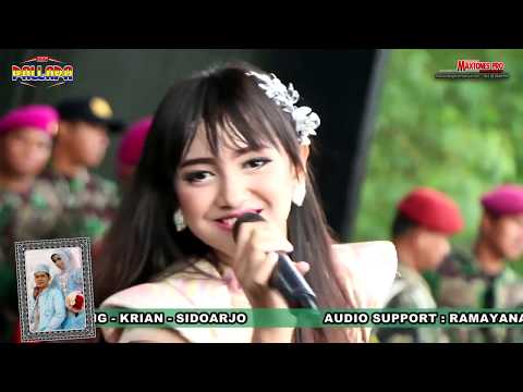 JIHAN AUDY NEW PALLAPA TITIP CINTAKU