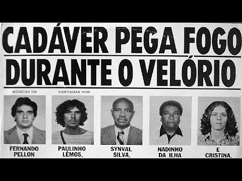 Flores De Plástico Ao Amanhecer - Cadáver Pega…