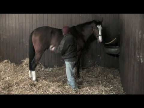 Earl-Of-Tinsdal-Februar-2011