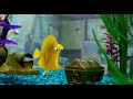 Gdzie Jest Nemo Moje Bąbelki