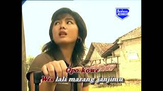 Download lagu Tragedi Muleh Lungo - Tayub SKK Tulungagung mp3