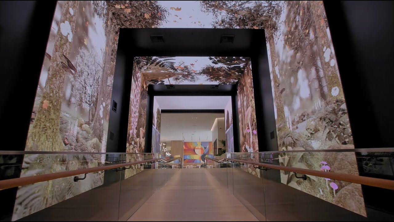 Microsoft Experience Center