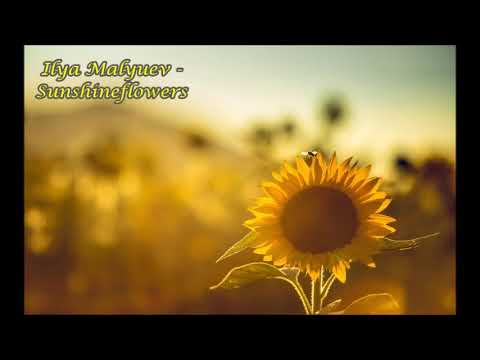 Ilya Malyuev - Sunshineflowers (432Hz)