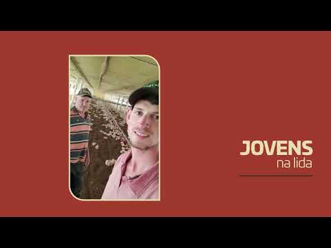 Jovens na Lida: suinocultor de 24 anos segue legado familiar no Rio Grande do Sul