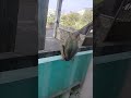 Chappudu Cheyaku Comedy