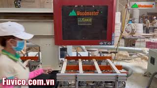 Máy đục mộng âm cnc Woodmaster được sử dụng nhiều trong các nhà máy chế biến gỗ xuất khẩu