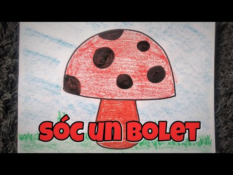 🍄 SÓC un BOLET 🍄
