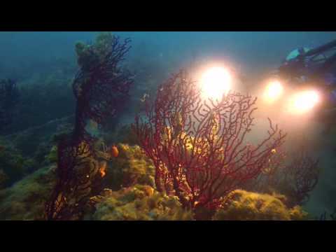 Kroatien - Trogir Diving Center - 2014