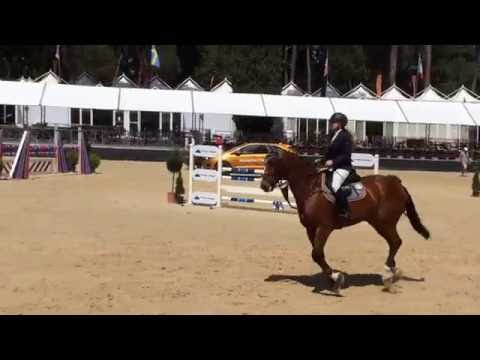 CSIO Roma - Master Piazza di Siena 2016 - I e II manche