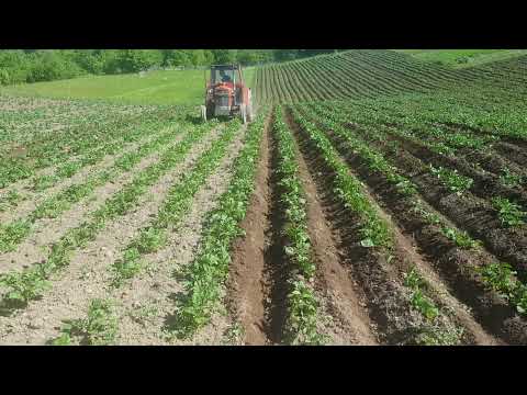 ogrtanje krompira sa imt 533