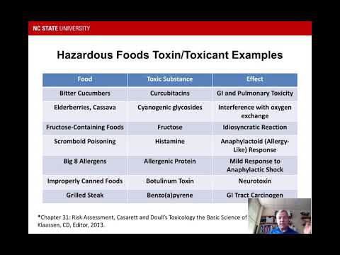 Hazard vs Risk Camtasia_082218