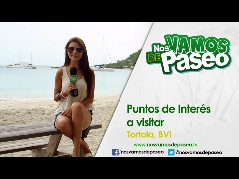 download lagu mp3 mp4 Bvi De, download lagu Bvi De gratis, unduh video klip Bvi De