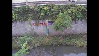 丸山橋映像監視局