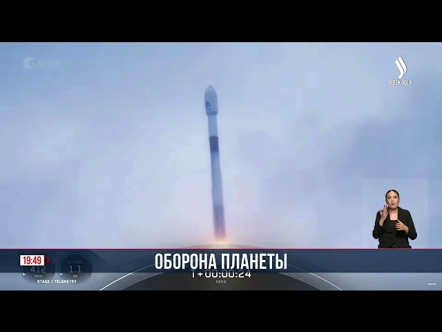 Страхование жизни планеты