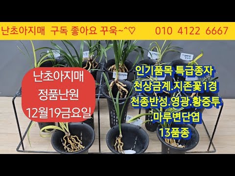 유튜브 썸네일