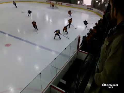 Olümpia Cup 2017 U12 -05 07.-09.04.17, Tondiraba Icehall Livestream Final