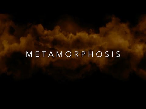 Nilka - Metamorphosis (Lyric Video)