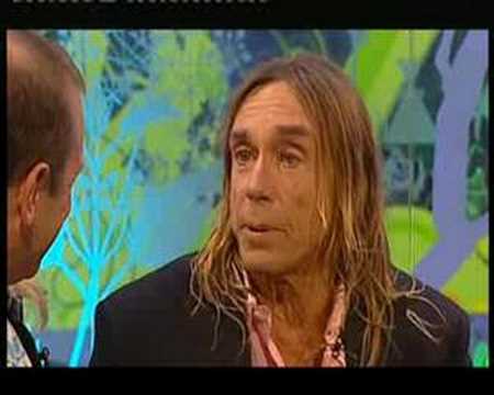 Iggy Pop Uses Racist Term at Glastonbury