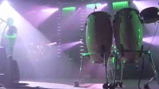 Spiders &quot; Moby &quot;