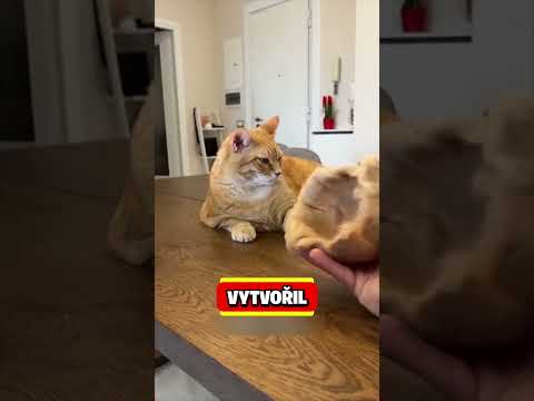 ČEPICE z CHLUPŮ!🤮😱