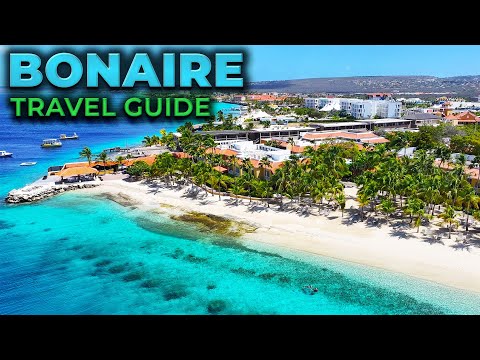 BONAIRE Travel Guide - Top 10 Best Things To Do