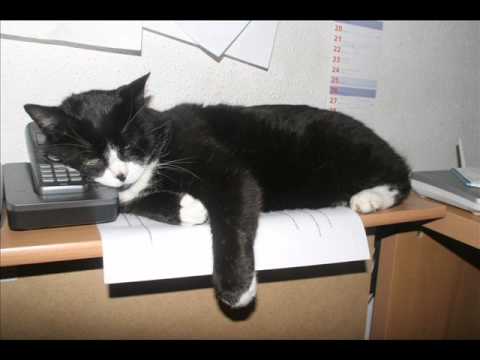 Bis hierher hat der Herr geholfen