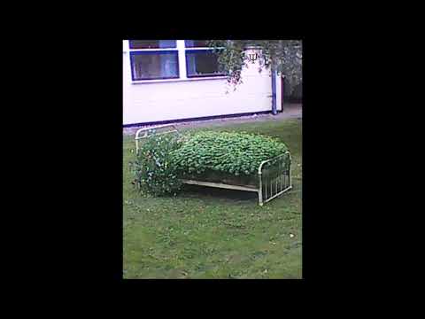 Service User Operations