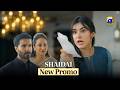 Shaidai Episode 22 New Promo Feroze Khan Sahar Hashmi Nawal Saeed Har Pal Geo