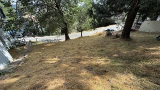 lake view dr for sale in Cedar Glen, CA 92321 - Residential
