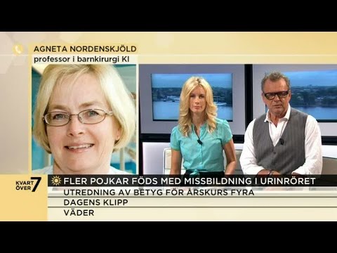 Fler pojkar föds med missbildning i urinröret - Nyhetsmorgon (TV4)