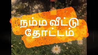 PNW gardening series - Namma veetu thottam/நம�