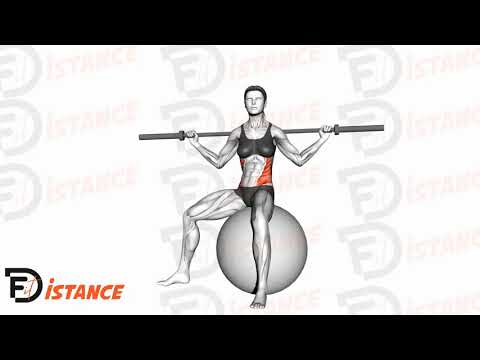 Exercice Twist assis avec barre sur ballon (Swiss Ball)