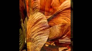 "The Angels' Voices And The Golden Wings"