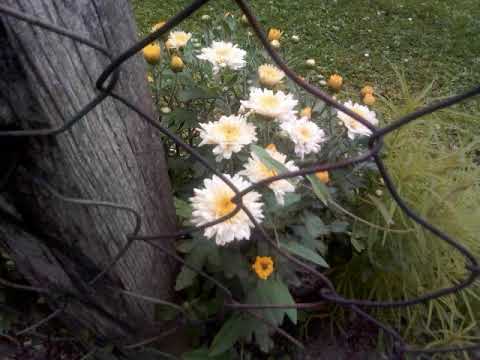 Како постити