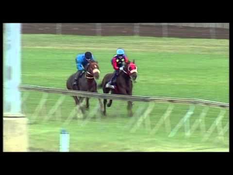 Vodacom Durban July 2013 Gothic Gallop