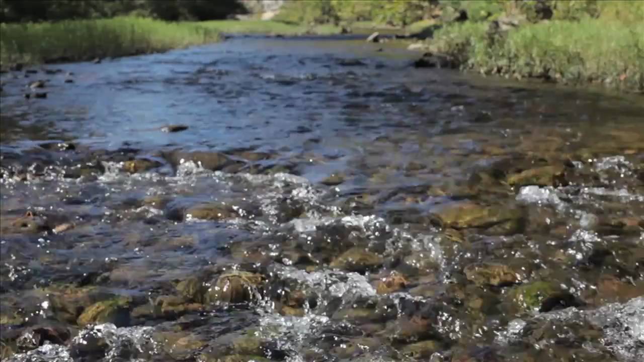 The Natural State of America (Trailer)