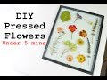 DIY PRESSED FLOWERS in UNDER 5 MINUTES