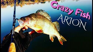 Crazy fish arion asr6102s l