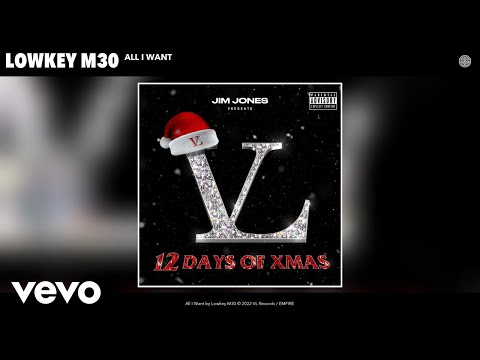 Lowkey M30 - All I Want (Official Audio)
