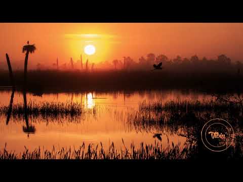 bsterthegawd - what a day