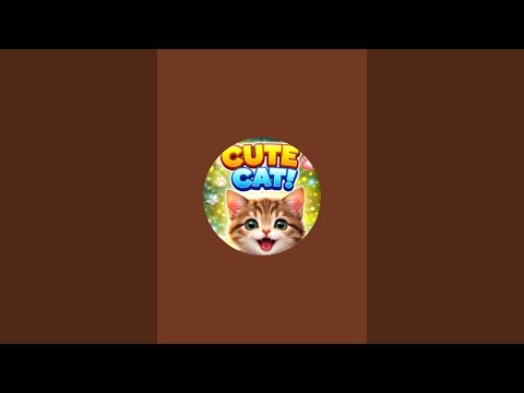 cute cat Chunnu Munnu is live