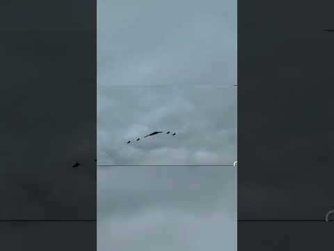 Trump welcome Putin with b2 and others.#trump #putin #alaska #trumpputinmeeting @BBC