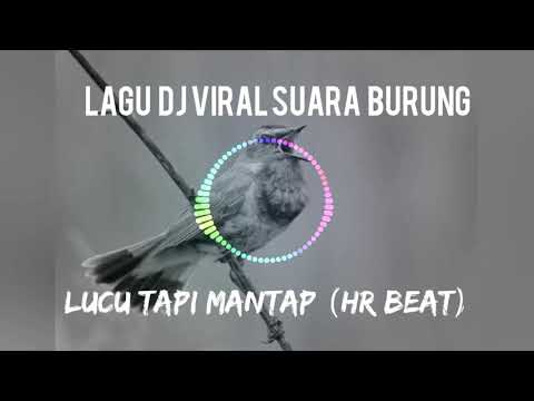 Download Lagu Suara Burung Terbaru