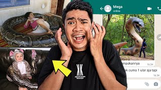 Download lagu BOCIL INI DI MAKAN ULAR TITANOBOA!!! mp3