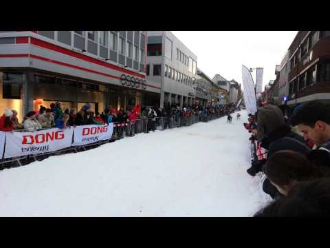 Samisk uke 2014 i Tromsø - Reinkappkjøring