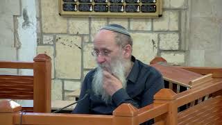 בחירה חופשית של מלכי כנען – שיעור 45 – ספר יהושע פרק יא