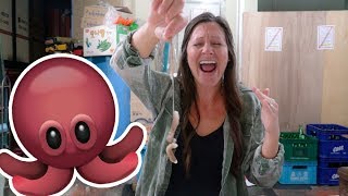 EATING WIGGLING OCTOPUS?! | Seoul Fish Market - YouTube